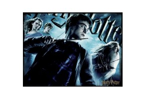 3D пъзел Harry Potter 500 части - 3