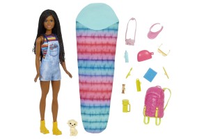 Кукла Mattel Barbie Camping Brooklyn Doll