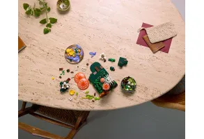 LEGO Botanicals 11505 - Горски гъби - 6