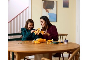 LEGO Disney Classic 43247 - Младият Симба - 6