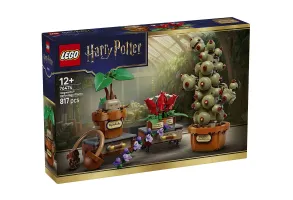 LEGO Harry Potter 76474 - Растения за часа по билкология в Хогуортс