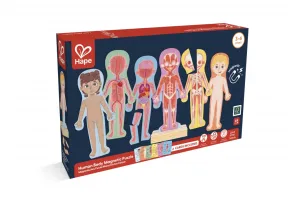 Образователен магнитен пъзел, Hape, човешко тяло, 68 части