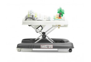 Проходилка Surf Fly Caretero Toyz - 7