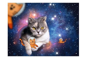 Пъзел Ravensburger 1500 ел. - Котки в космоса - 2