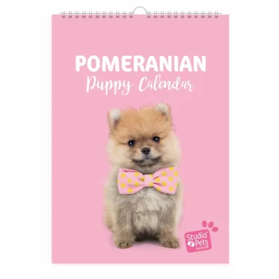 Studio Pets Календар-планер с кученца, Померан